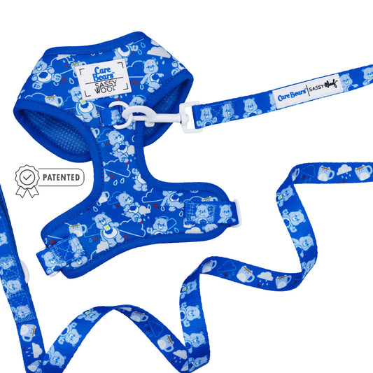 Dog Two Piece Bundle - Care Bears™ Grumpy Bear