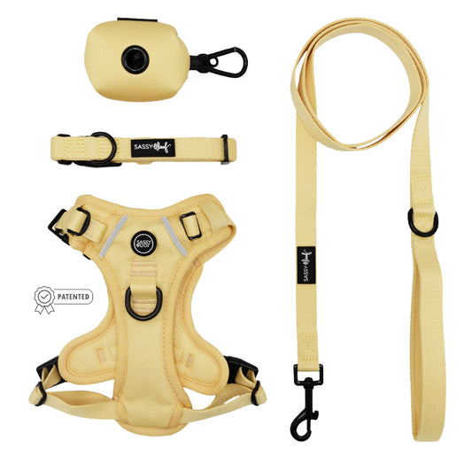 Dog Four Piece Bundle - Daffodil