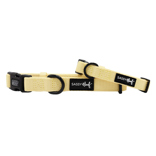 Dog Collar - Daffodil