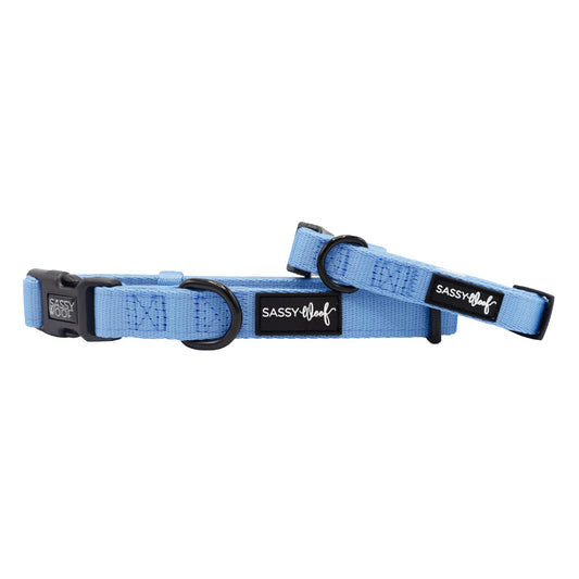 Dog Collar - Hydrangea