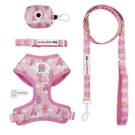 Dog Four Piece Bundle - Care Bears™ Cheer Bear