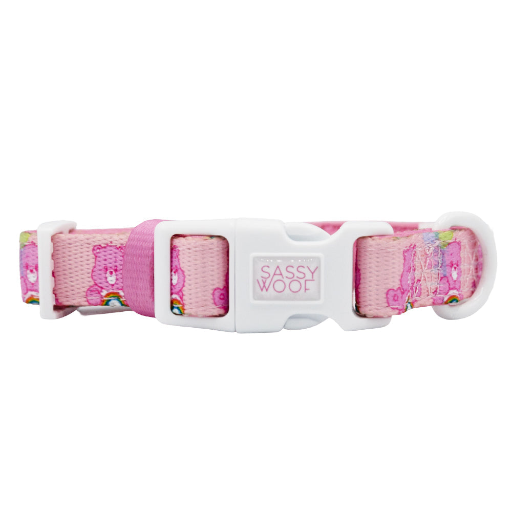 Dog Four Piece Bundle - Care Bears™ Cheer Bear