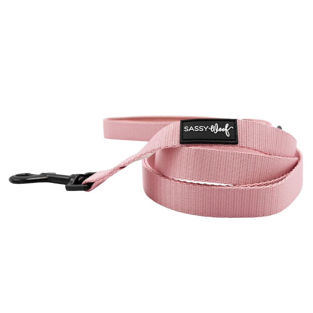 Dog Two Piece Bundle - Dusty Rose