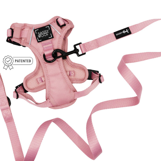 Dog Two Piece Bundle - Dusty Rose
