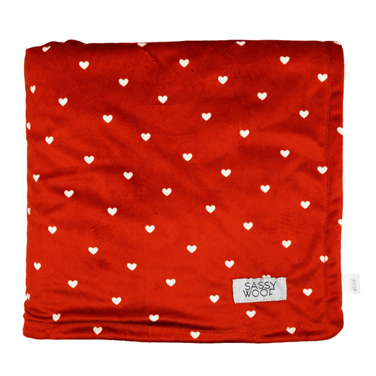 Pet Blanket - Little Love