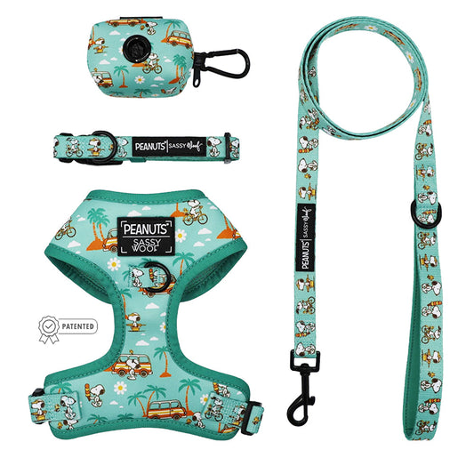 Dog Four Piece Bundle - Peanuts™ Road Tripping