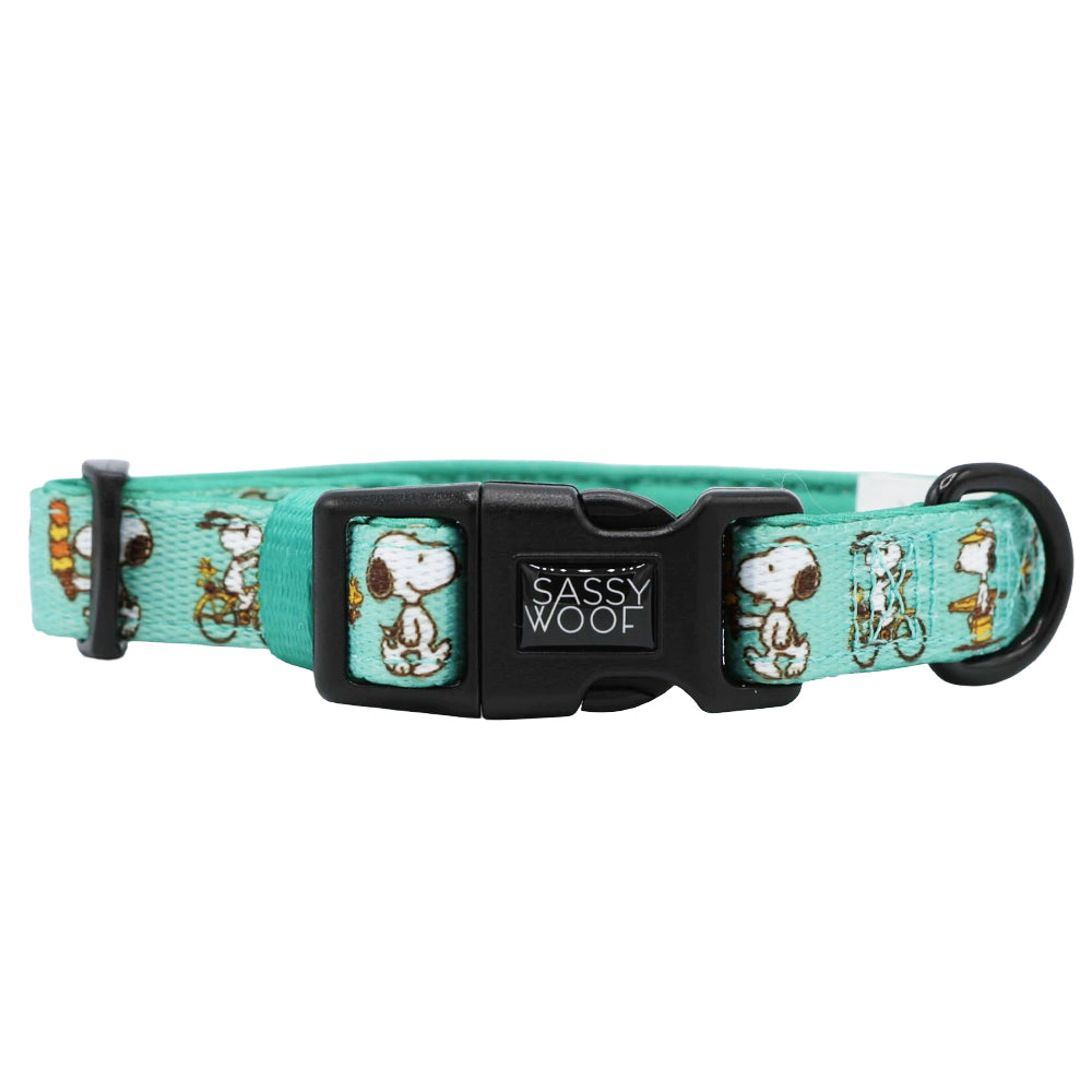 Dog Four Piece Bundle - Peanuts™ Road Tripping
