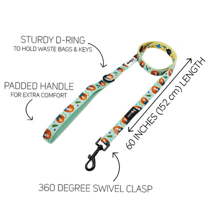 Harness Three Piece Bundle - Disney's Merida