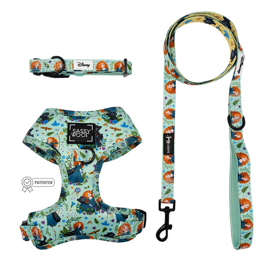 Harness Three Piece Bundle - Disney's Merida