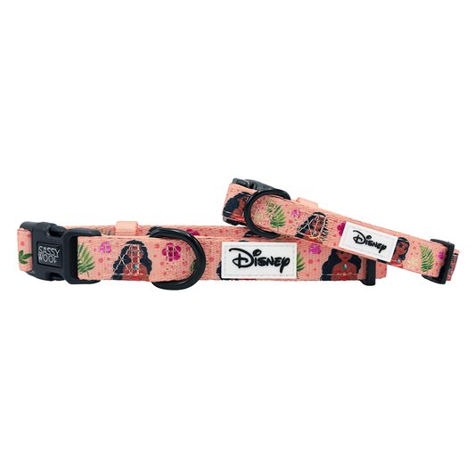 Dog Collar - Disney's Moana