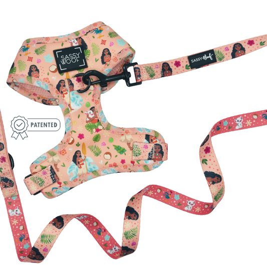 Dog Two Piece Bundle - Disney's Moana