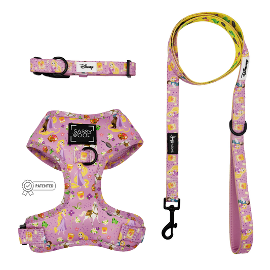 Harness Three Piece Bundle - Disney's Rapunzel