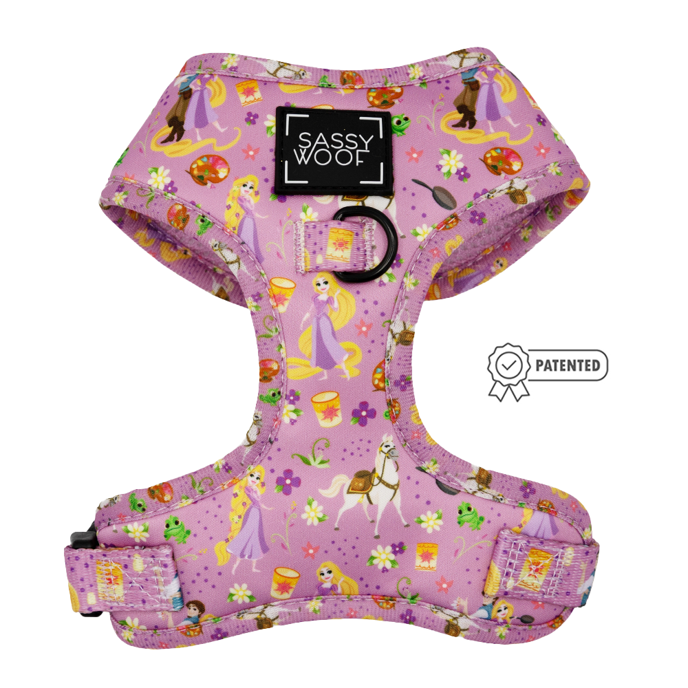 Harness Three Piece Bundle - Disney's Rapunzel