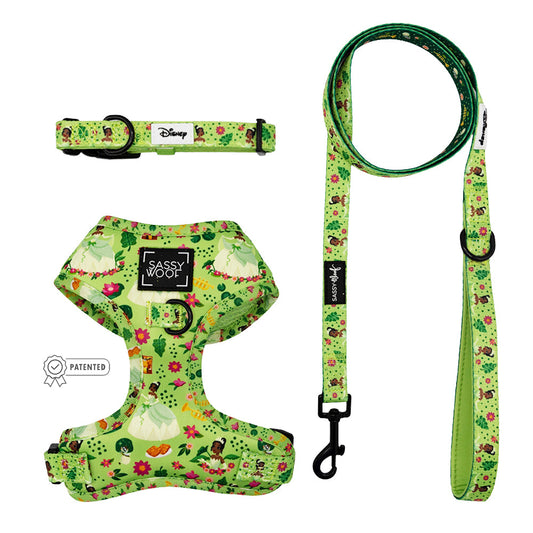Harness Three Piece Bundle - Disney's Tiana
