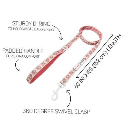 Dog Collar Three Piece Bundle - My Melody™