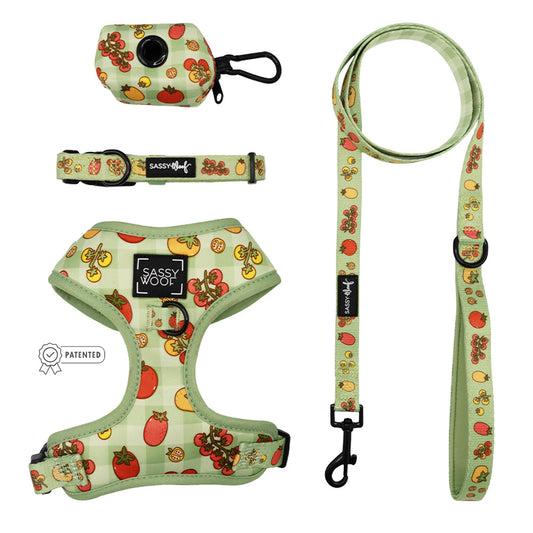 Dog Four Piece Bundle - Feeling Vine