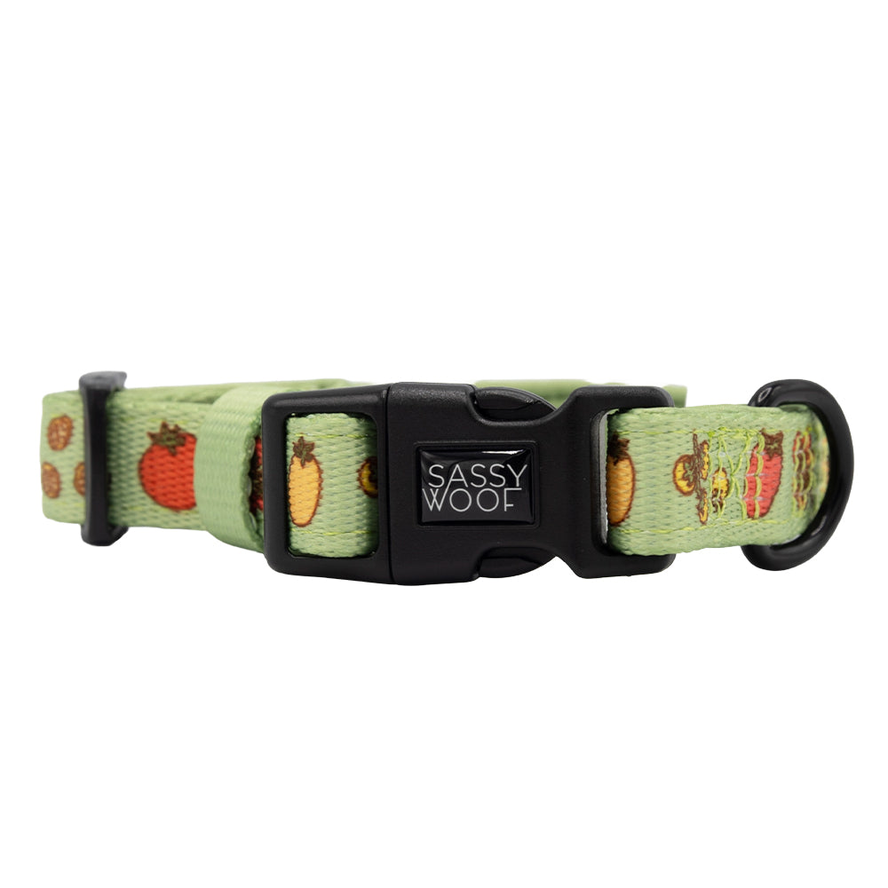 Dog Four Piece Bundle - Feeling Vine