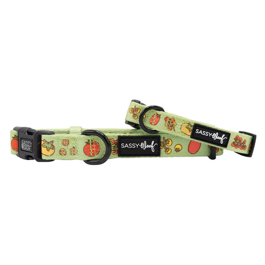 Dog Collar - Feeling Vine