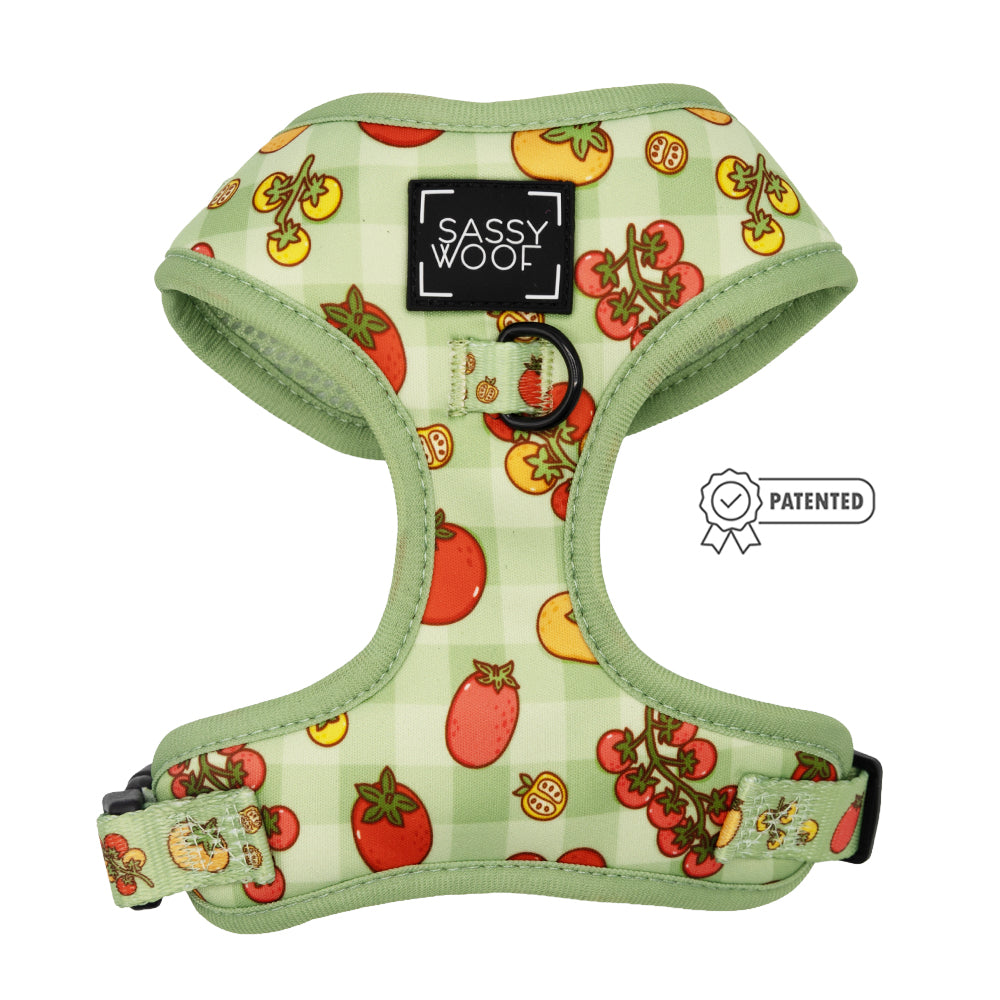 Dog Two Piece Bundle - Feeling Vine