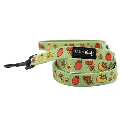 Dog Two Piece Bundle - Feeling Vine