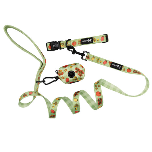 Dog Three Piece Bundle - Feeling Vine