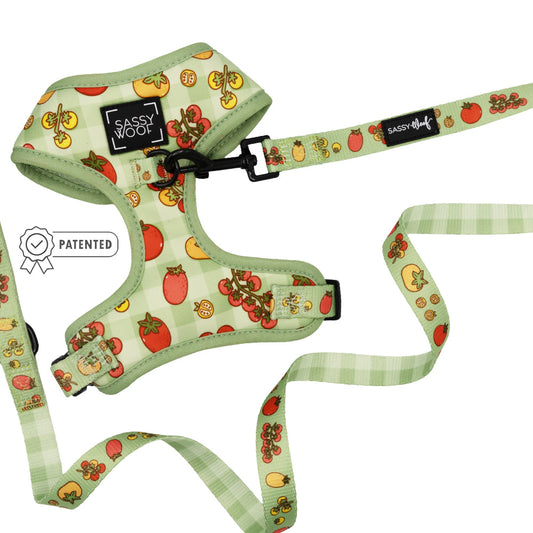Dog Two Piece Bundle - Feeling Vine