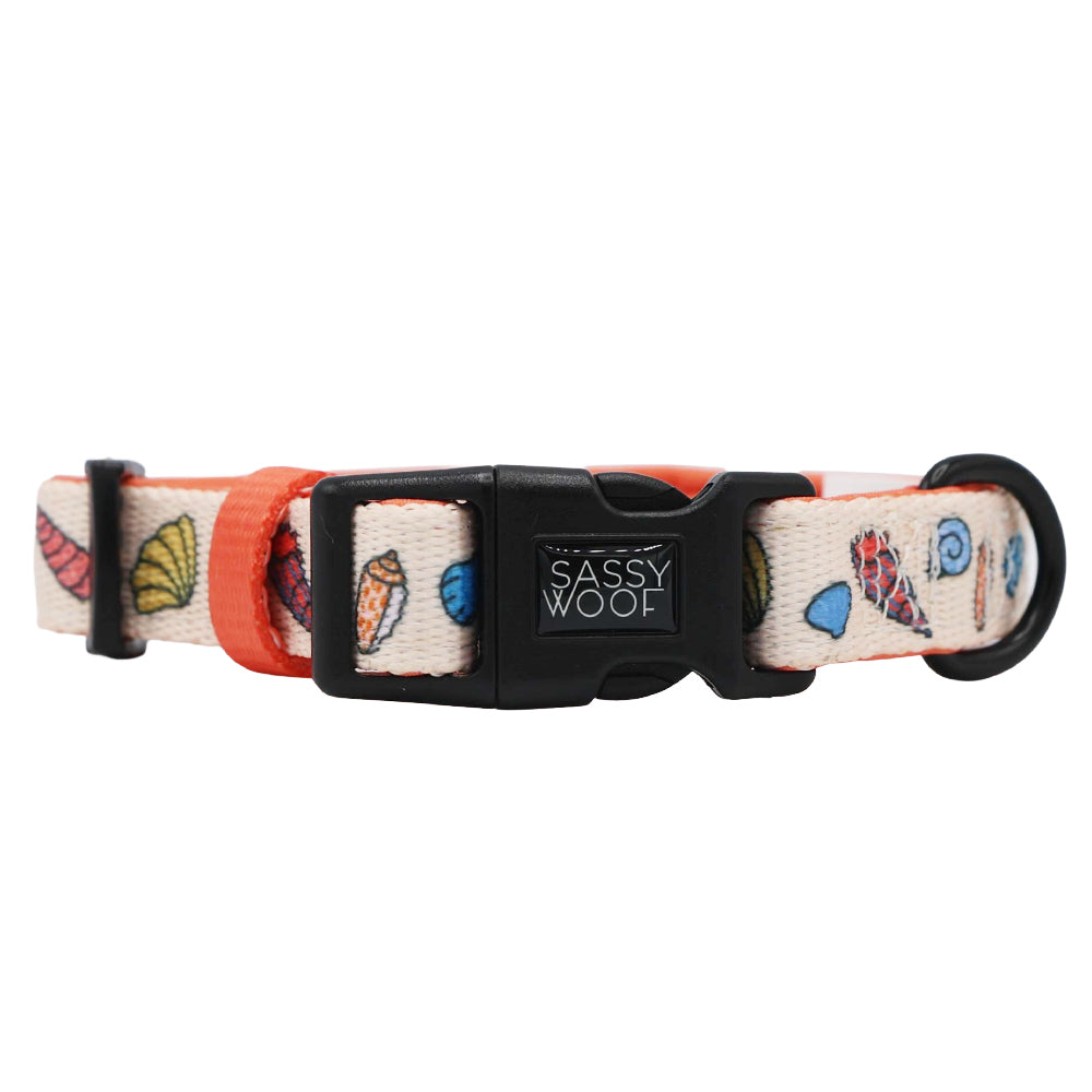 Dog Collar - Shell Yeah
