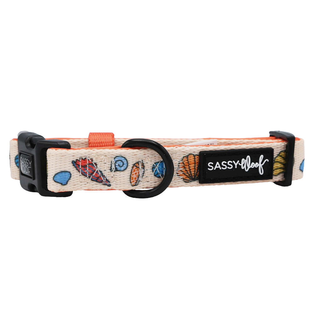 Dog Collar - Shell Yeah