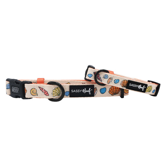 Dog Collar - Shell Yeah