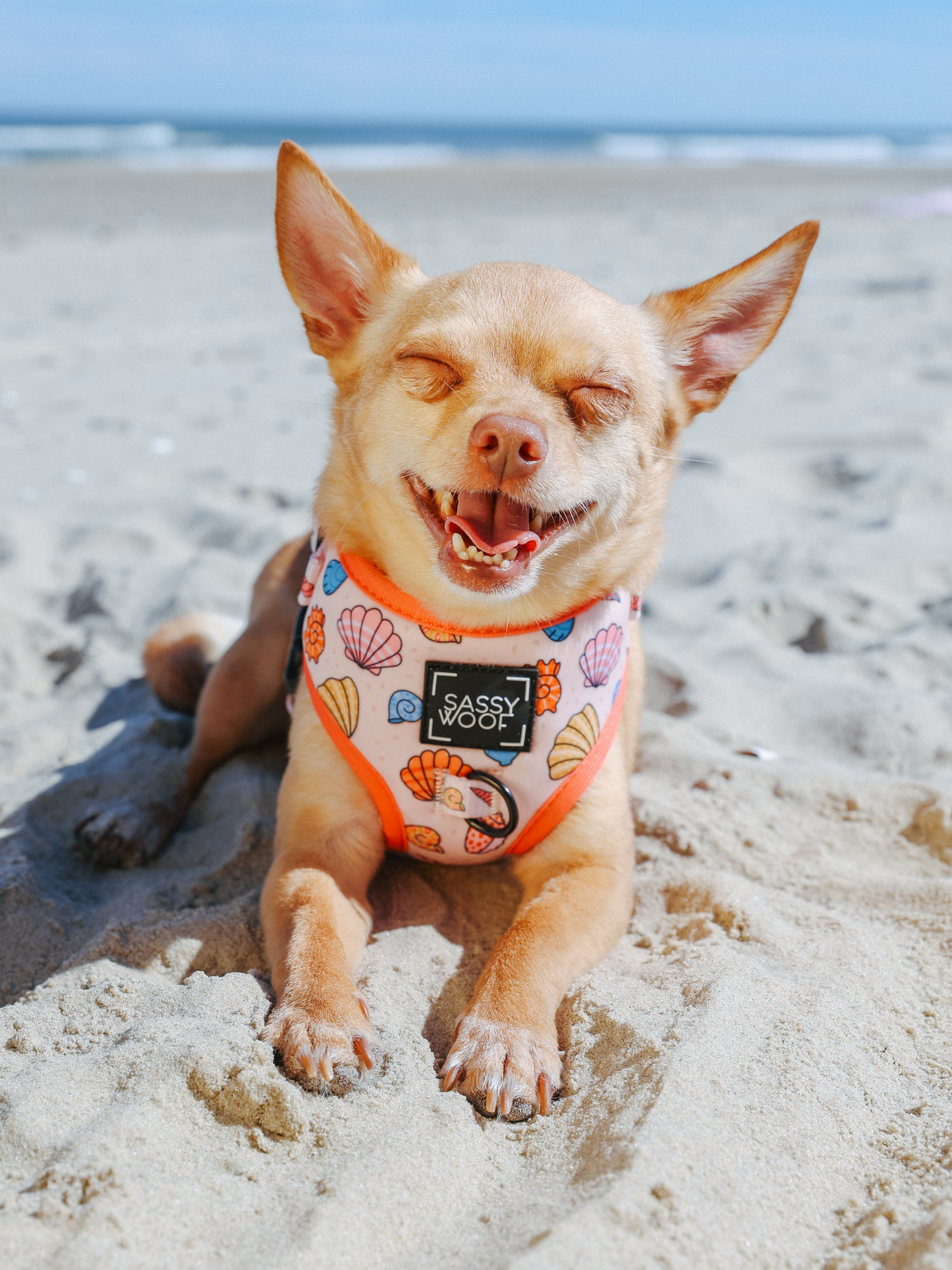 Dog Two Piece Bundle - Shell Yeah