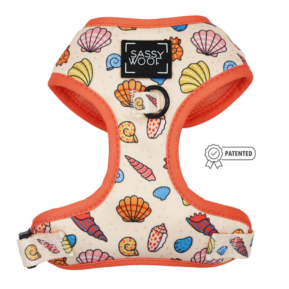 Dog Four Piece Bundle - Shell Yeah