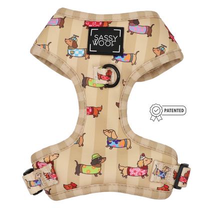 Dog Two Piece Bundle - Sunbean