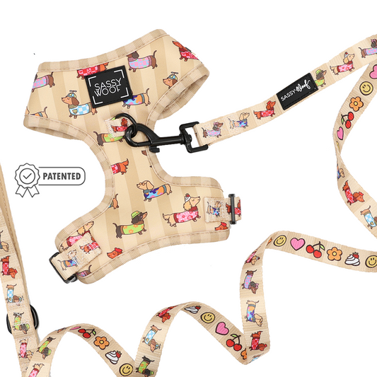 Dog Two Piece Bundle - Sunbean
