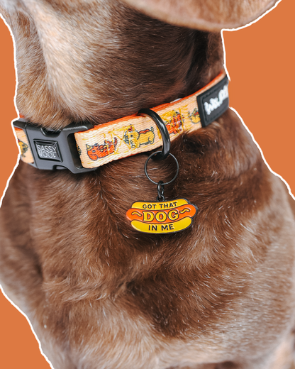Collar Tag - Hot Dawg
