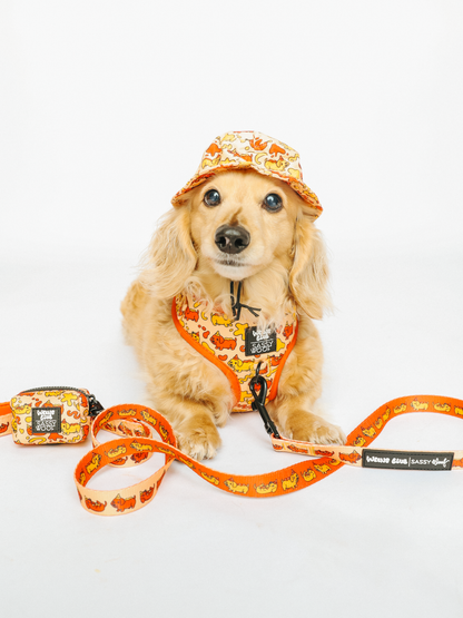 Dog Waste Bag Holder - Hot Dawg
