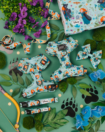 Harness Three Piece Bundle - Disney's Merida