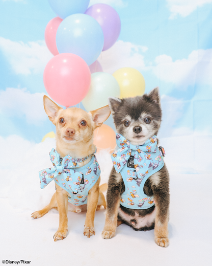 Dog Sailor Bow - Disney and Pixar's Up