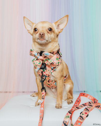 Dog Two Piece Bundle - Disney's Moana