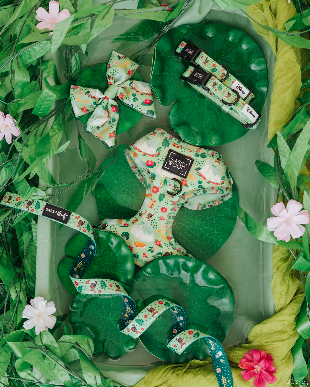 Harness Three Piece Bundle - Disney's Tiana