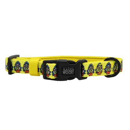 Dog Collar Three Piece Bundle - Wonder Woman™