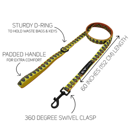 Dog Collar Three Piece Bundle - Wonder Woman™