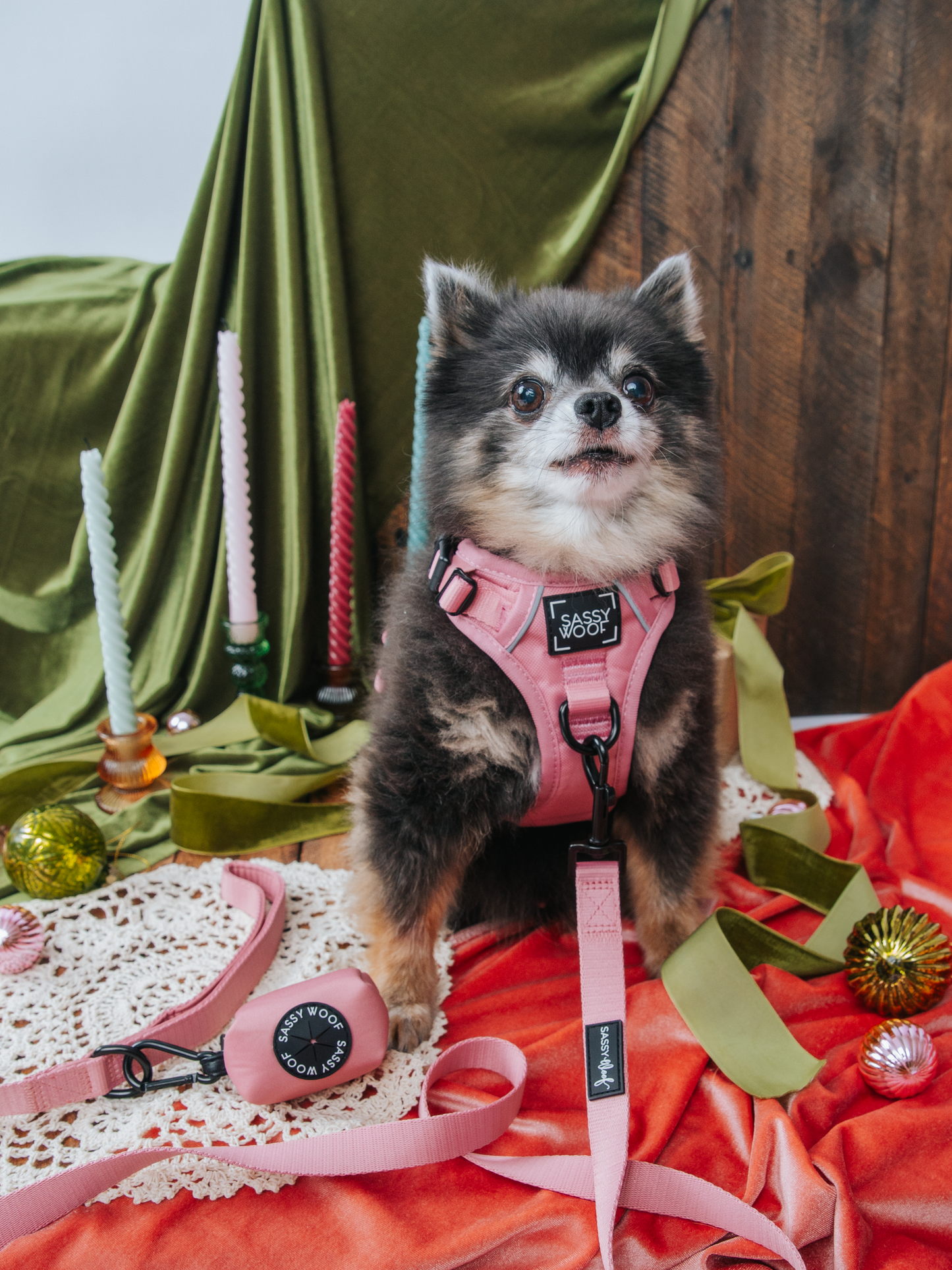 Dog Two Piece Bundle - Dusty Rose