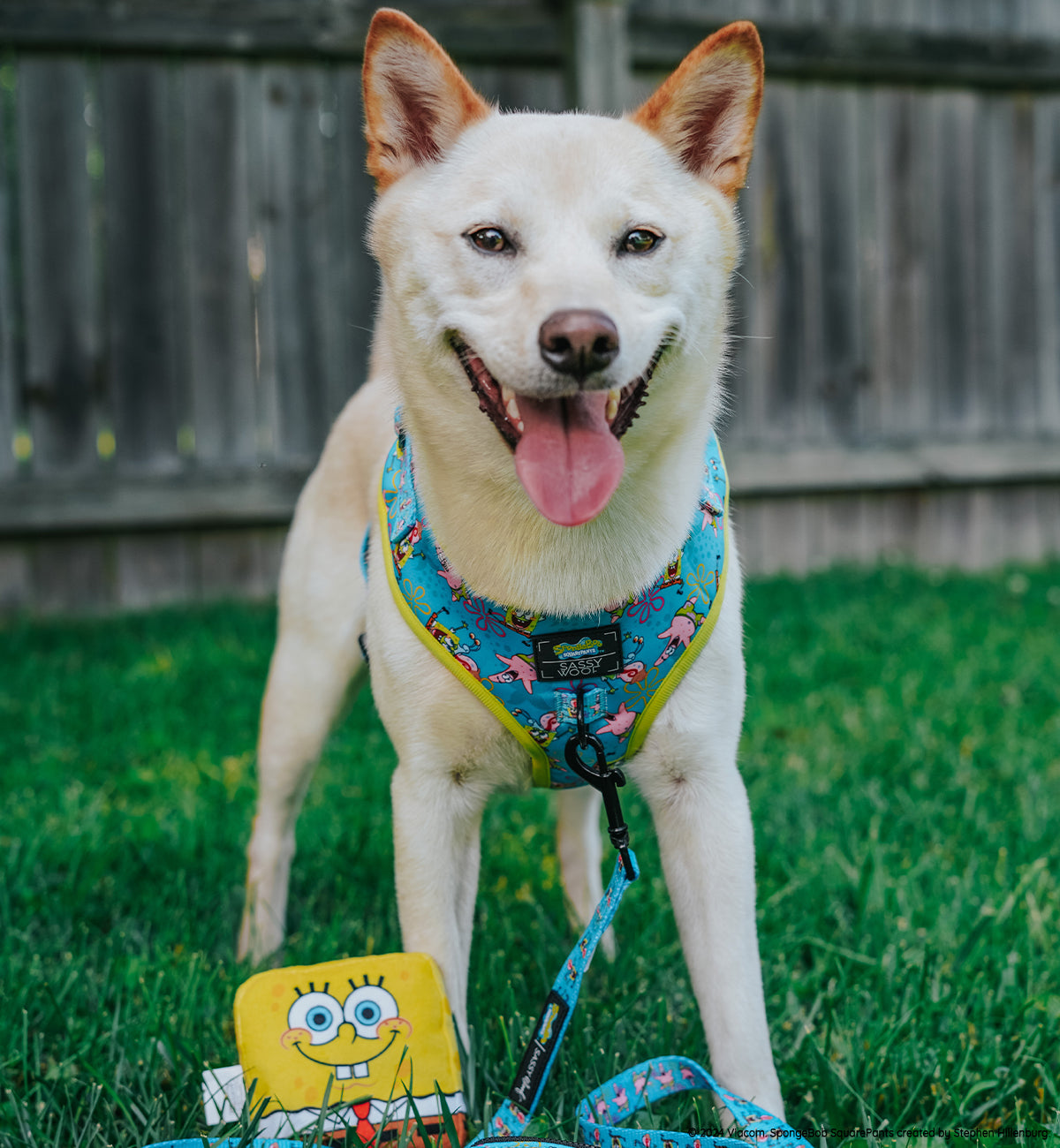 Dog Toy - SpongeBob SquarePants™