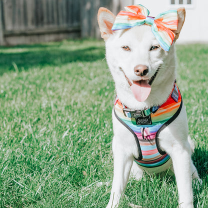 Dog Sailor Bow - Love You Fur You