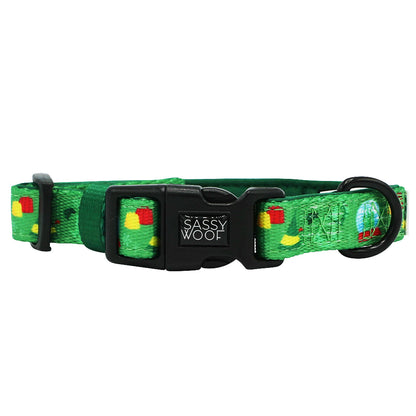 Dog Collar Three Piece Bundle - Elf™