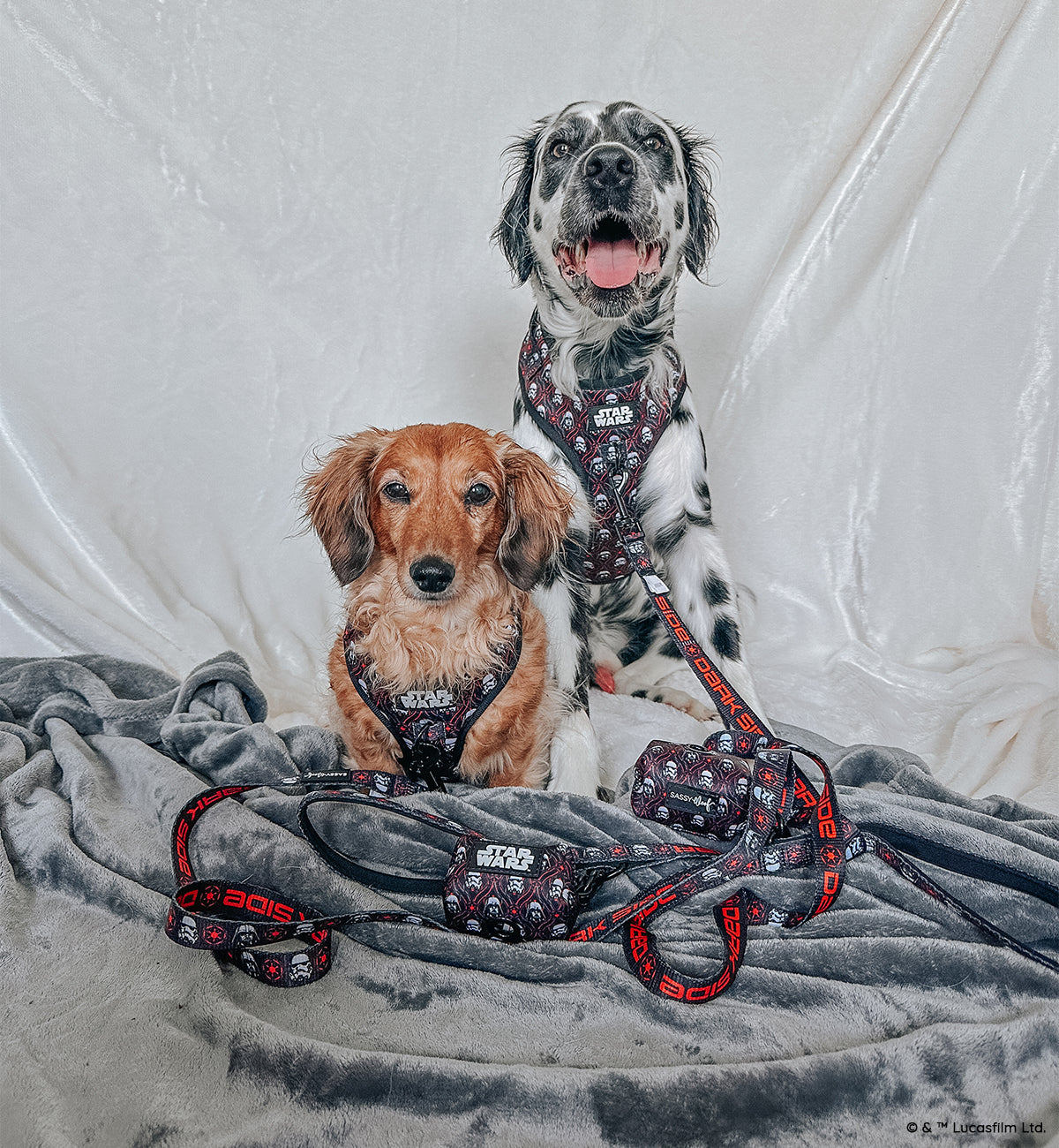 Dog Four Piece Bundle - STAR WARS™ The Dark Side