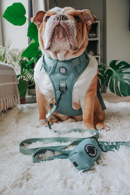 Dog Two Piece Bundle - Sage