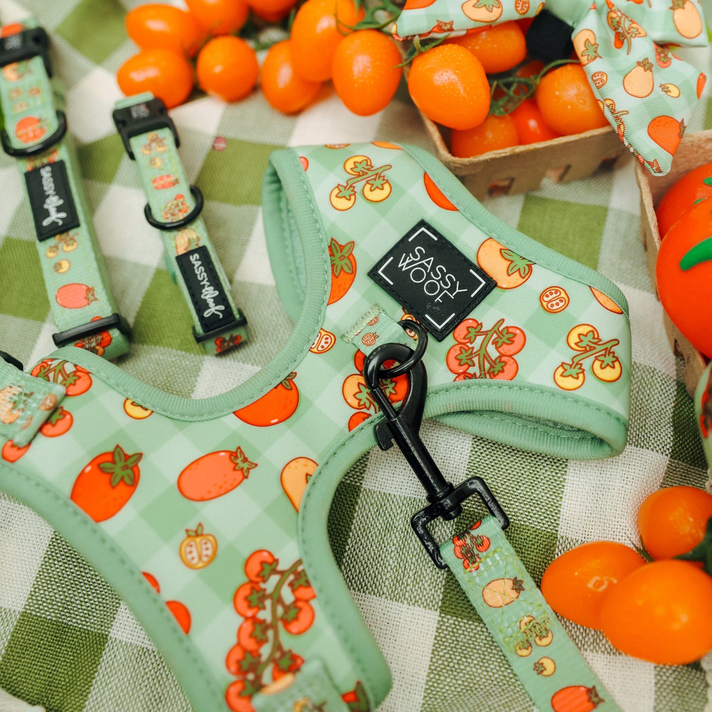 Dog Two Piece Bundle - Feeling Vine