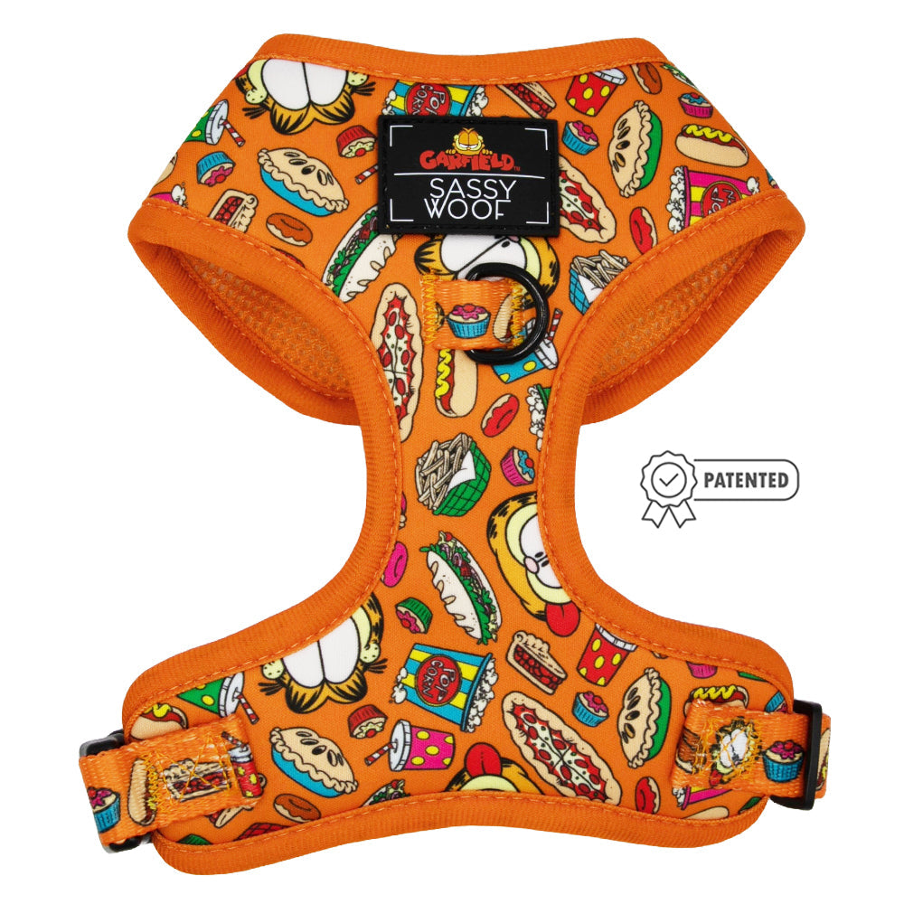 Dog Two Piece Bundle -  Garfield™