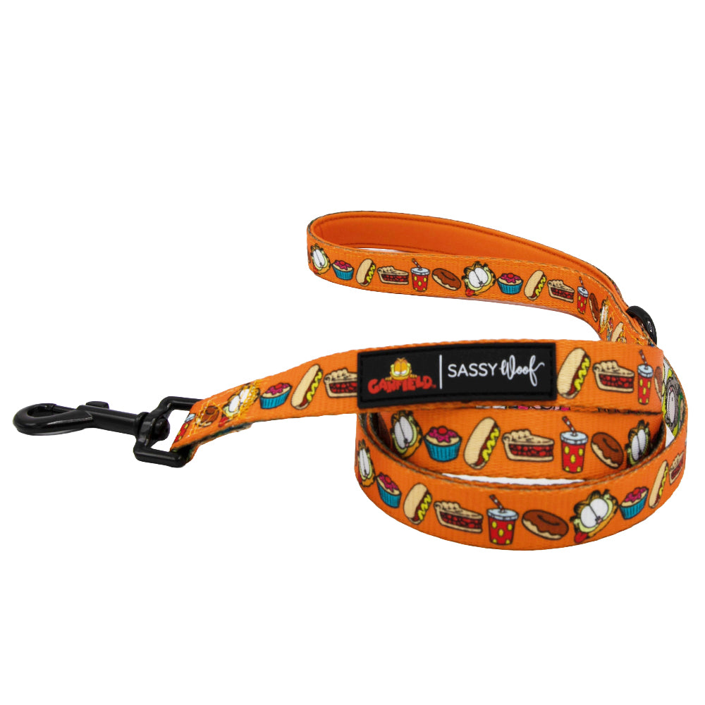 Dog Two Piece Bundle -  Garfield™